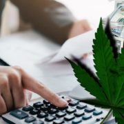 Are You Adding These Marijuana Stocks To Your 2021 Watchlist?