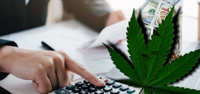 Are You Adding These Marijuana Stocks To Your 2021 Watchlist?