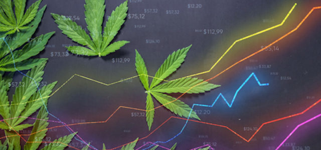 Are You Looking For The Best Marijuana Stocks In 2021?