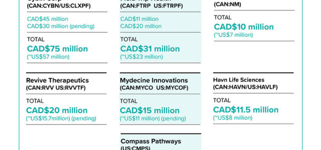 Follow The Money: US$500+ Million In New Psychedelics Financing Powering Massive Growth