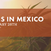 FREE Webinar – Cannabis in Mexico