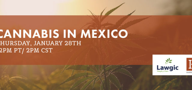 FREE Webinar – Cannabis in Mexico