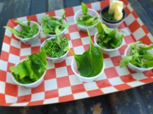 Hemp baby greens may be the next salad superfood, researchers say