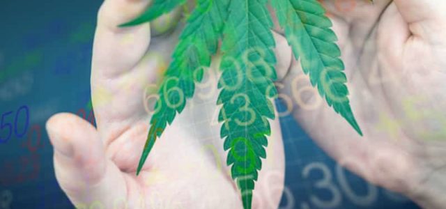 Looking For Marijuana Stocks To Buy: 2 Potential Cannabis Plays To Watch