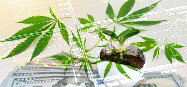 Looking For The Top Pot Stocks In 2021? 2 Cannabis Stocks For Your January Watchlist