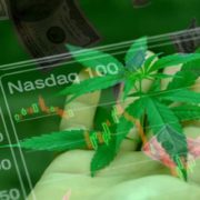 Marijuana Penny Stock To Watch This Week 2 Pot Stocks With Potential Gains