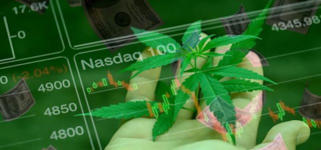Marijuana Penny Stock To Watch This Week 2 Pot Stocks With Potential Gains