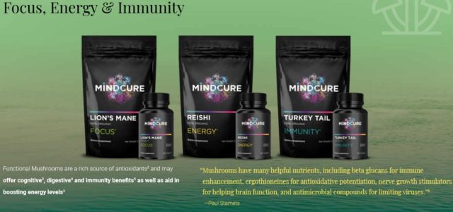 Mind Cure Tackles Mental Health Crisis On Two Fronts