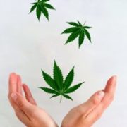 My Favorite “Alternative” Pot Stock Tripled Already; More Gains to Come?