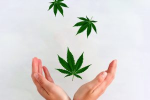 My Favorite “Alternative” Pot Stock Tripled Already; More Gains to Come?