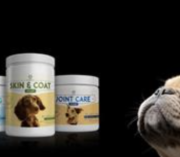 PureK Holdings Corp. Expands Footprint With Global Pet Care Market Acquisition of ‘BudaPets’ All-Natural Pet Wellness Brand