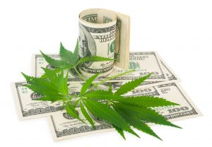 The Five Must-Have Pot Stocks for 2021