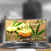 Top Marijuana Stocks To Buy Right Now? 2 Cannabis Stock To Watch In February