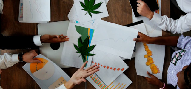 Top Marijuana Stocks To Watch For Long-Term Investing in 2021