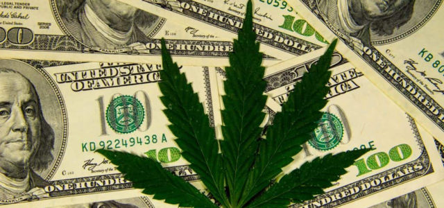 USDA: Latest payments for pandemic-affected hemp farmers coming soon