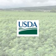 USDA official touts hemp rules as ‘fair, consistent, science-based’