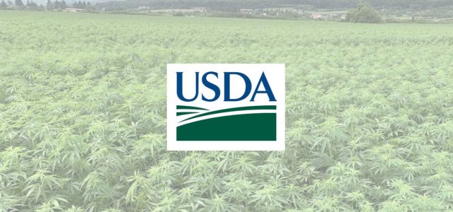 USDA official touts hemp rules as ‘fair, consistent, science-based’
