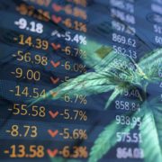 Which Are The Best Marijuana Stocks In 2021 For Long Term Investing?