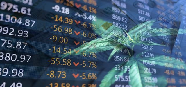 Which Are The Best Marijuana Stocks In 2021 For Long Term Investing?