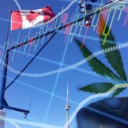 Which Is The Top Canadian Marijuana Stock To Buy? Aphria Vs Canopy
