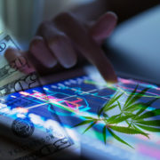 Will Market Volatility Stop These 2 Marijuana Stocks From Seeing Higher Gains