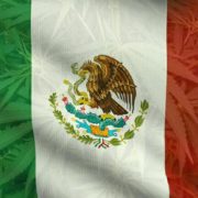 Will Mexico Take Over The Cannabis Industry After Going Legal