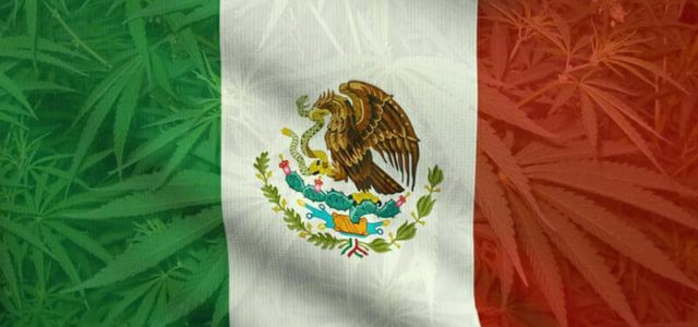 Will Mexico Take Over The Cannabis Industry After Going Legal