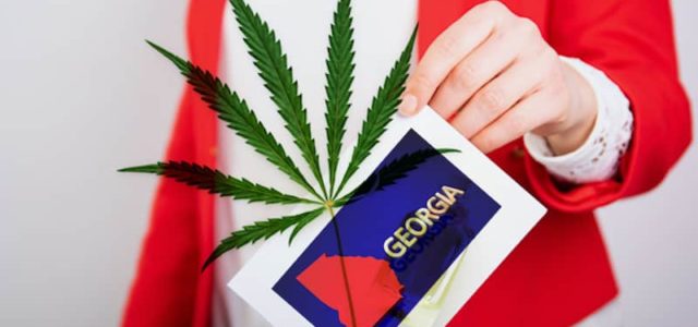 Will The Cannabis Industry Have The Senate In Its Corner After Georgia Runoff Elections?