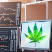 Will These Marijuana Stocks Be Top Gainers This Month?