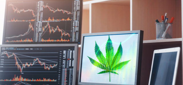 Will These Marijuana Stocks Be Top Gainers This Month?