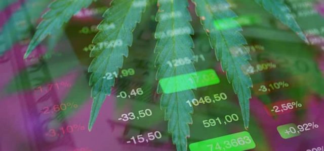 Will These Marijuana Stocks Begin To Pick Up Momentum In The Market