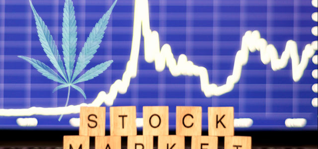 Will These Marijuana Stocks See More Gains Before Next Week?