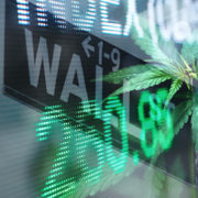 2 Marijuana Stocks That May See Bigger Gains This Month