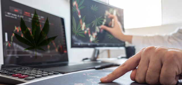 3 Marijuana Stocks To Watch Reporting Earnings Next Week
