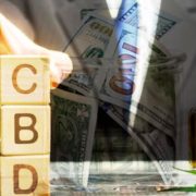 Are These 2 CBD Marijuana Stocks A Good Investment For 2021?