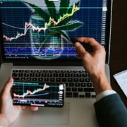 Are These 2 Marijuana Penny Stocks A Good Investment In February