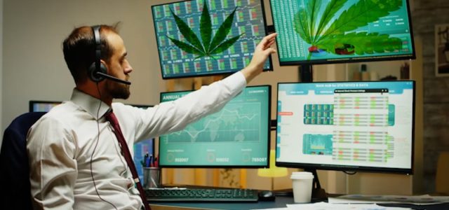 Are These Marijuana Stocks A Buy Right Now? 2 Top Pot Stocks To Add To Your Watchlist