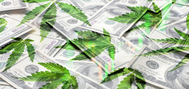 Are These Marijuana Stocks Better Long or Short Term Investments?