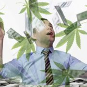 Are These Marijuana Stocks Built For Long Or Short Term Success?
