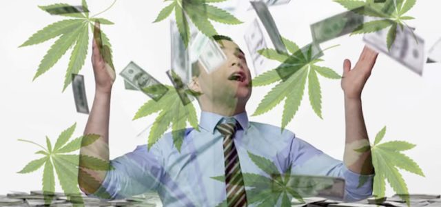 Are These Marijuana Stocks Built For Long Or Short Term Success?