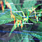 Are These Marijuana Stocks In Your February Portfolio?