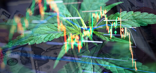 Are These Marijuana Stocks In Your February Portfolio?