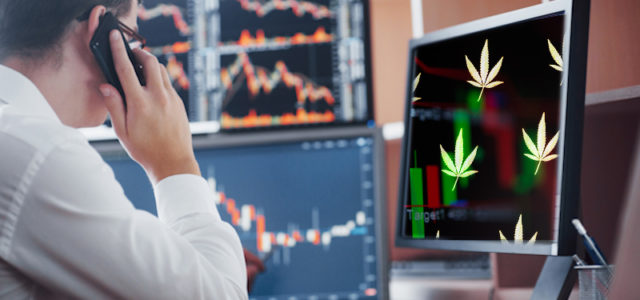 Are These The Best Marijuana Stocks For The Long-Term?