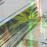 Are These The Best Marijuana Stocks In 2021?