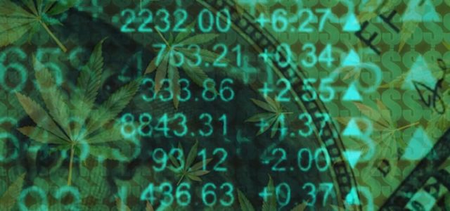 Are These Top Cannabis Stocks Going To Keep Climbing In The Market?