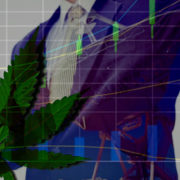 Are You Invested In These Cannabis Stocks?