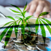 Best Marijuana Stocks To Buy Now? 2 Pot Stocks For February 2021
