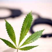 Biden Urged to Expunge Records of Cannabis Offenders