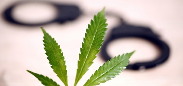 Biden Urged to Expunge Records of Cannabis Offenders