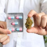 Cannabis can Lead to Decrease in Opioid Consumption